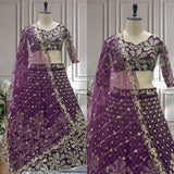 Crafted Butterfly Net Lehenga Choli