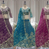 Crafted Butterfly Net Lehenga Choli