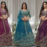 Crafted Butterfly Net Lehenga Choli