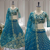 Crafted Butterfly Net Lehenga Choli