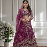 Crafted Butterfly Net Lehenga Choli