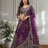 Crafted Butterfly Net Lehenga Choli