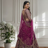 Crafted Butterfly Net Lehenga Choli