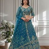 Crafted Butterfly Net Lehenga Choli