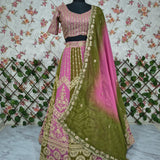 Premium Embroidered Embelished Lehenga