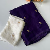 Beautiful Gendy Dual Shaded Saree