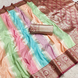 Multi Color Banarasi Silk Saree