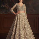 Adorn Wedding Embroidered Net Lehenga