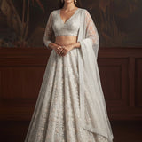 Adorn Wedding Embroidered Net Lehenga