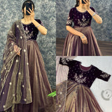 Traditional Tissue Anarkali Gown