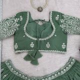 Premium Designer Embroidered Lehenga