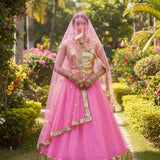 Wedding Net Sequence Work Lehenga