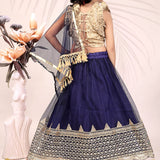 Attractive Kids Net Lehenga Choli