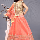 Attractive Kids Net Lehenga Choli
