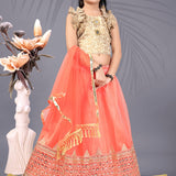 Attractive Kids Net Lehenga Choli