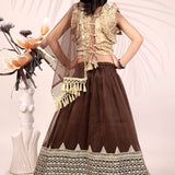 Attractive Kids Net Lehenga Choli