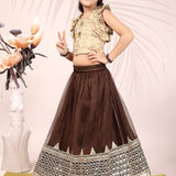 Attractive Kids Net Lehenga Choli