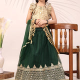 Attractive Kids Net Lehenga Choli
