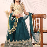 Attractive Kids Net Lehenga Choli