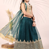 Attractive Kids Net Lehenga Choli