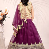 Attractive Kids Net Lehenga Choli