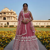 Senhora Premium Net Embroidered Lehenga