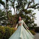 Premium Butterfly Net Embroidered Lehenga