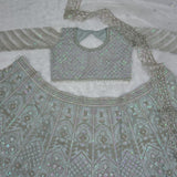 Premium Butterfly Net Embroidered Lehenga