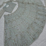 Premium Butterfly Net Embroidered Lehenga
