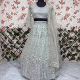 Premium Butterfly Net Embroidered Lehenga