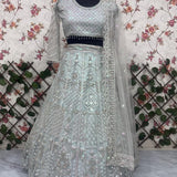 Premium Butterfly Net Embroidered Lehenga