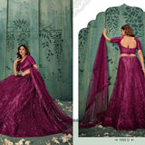 Stunning Net Embroidered Lehenga