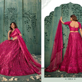 Stunning Net Embroidered Lehenga