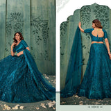 Stunning Net Embroidered Lehenga