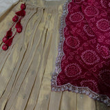 Elegant Festive Silk Lehenga