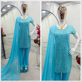 Dashing Georgette Top Plazzo