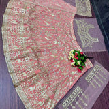 Bridal Wedding Embroidered Lehenga
