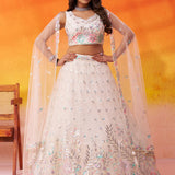 Adorn Net Bridal Wedding Lehenga