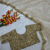 Premium Butterfly Embellished Saree