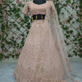 Most Beautiful Embroidered Lehenga