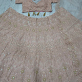 Most Beautiful Embroidered Lehenga