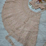 Most Beautiful Embroidered Lehenga