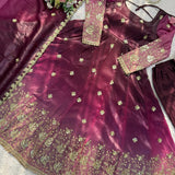 Elegance Chinon Silk Anarkali Gown