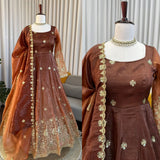 Elegance Chinon Silk Anarkali Gown