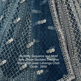 Royal Bridal Embroidered Moti Work Lehenga