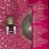 Adron Pink Embroidered Lehenga