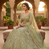 Premium Embroidered Net Lehenga