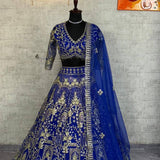 Premium Embroidered Net Lehenga