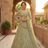 Premium Embroidered Net Lehenga