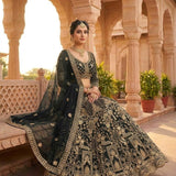Premium Embroidered Net Lehenga